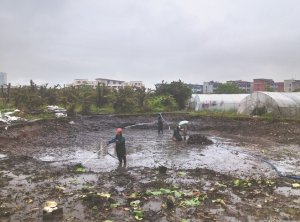 化德河道鱼塘清淤